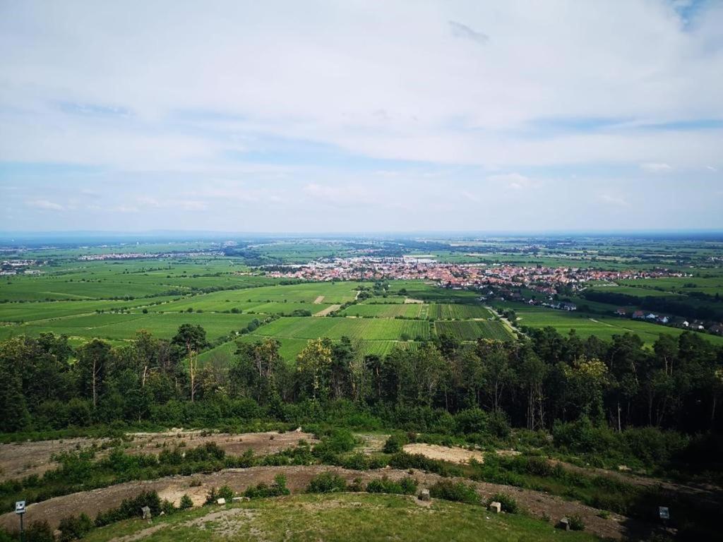 Wohnen Im Herzen Der Pfalz Neustadt an der Weinstraße Exterior photo